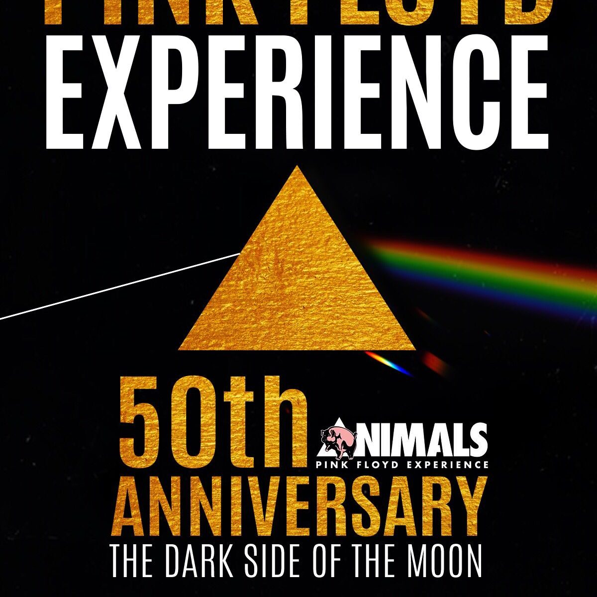 Animals Pink Floyd Experience